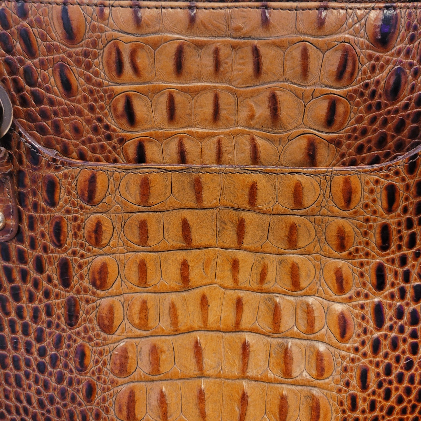 Brahmin Annetta Tote