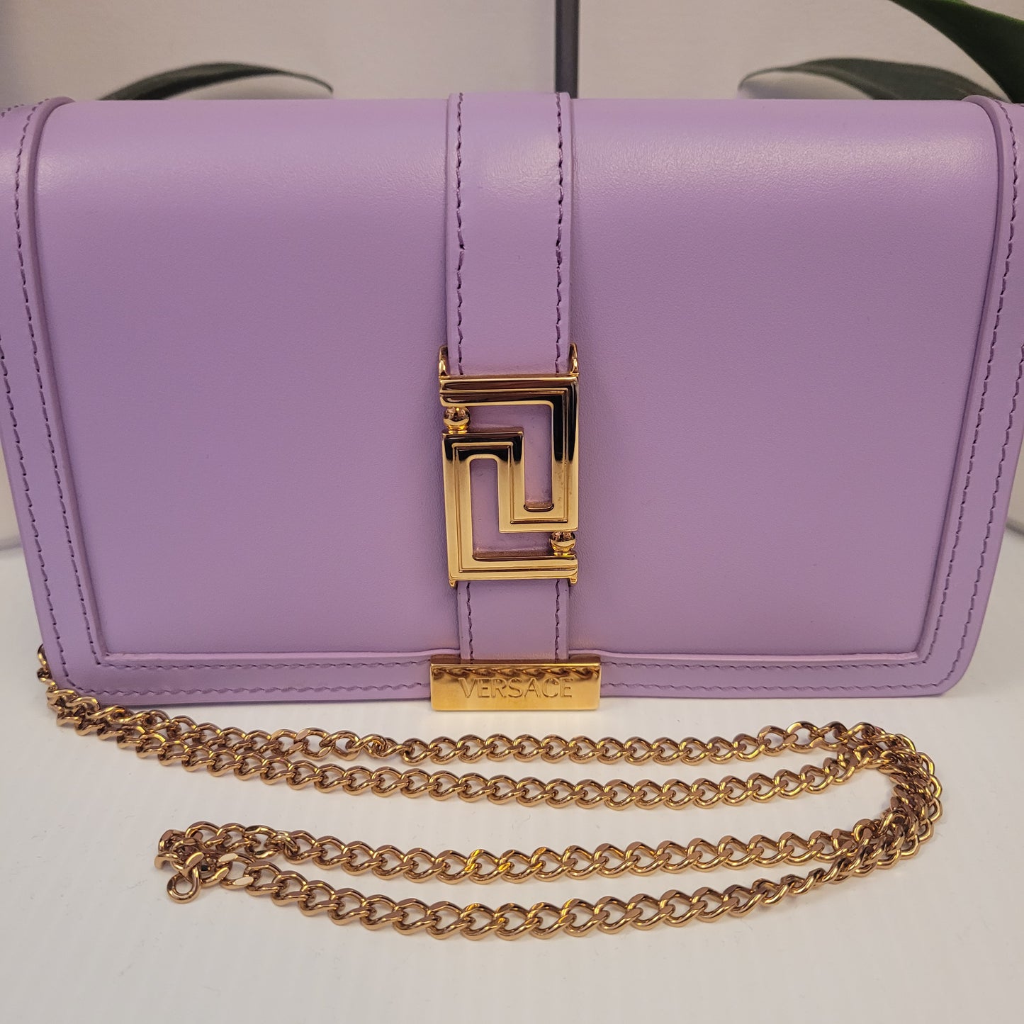 Versace Greca Goddess WOC