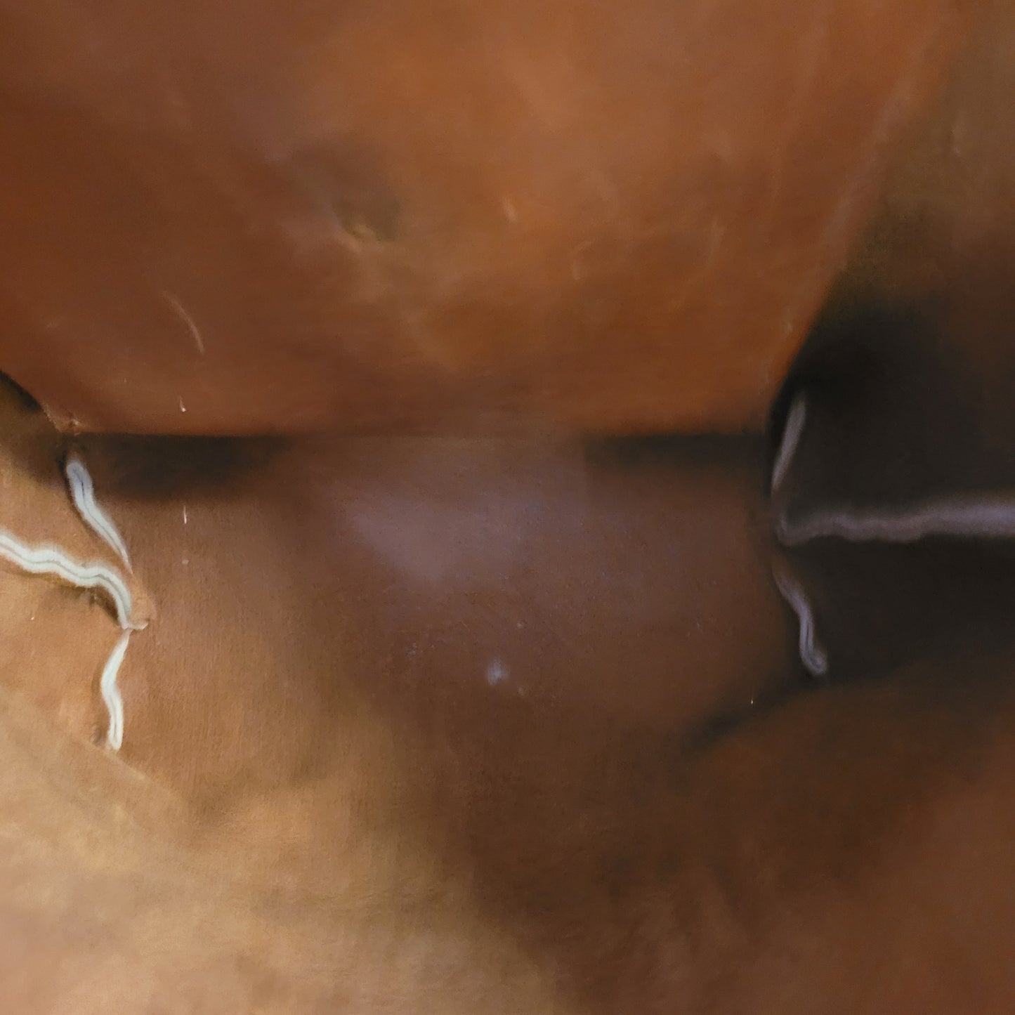 Triumph Outpost Tote