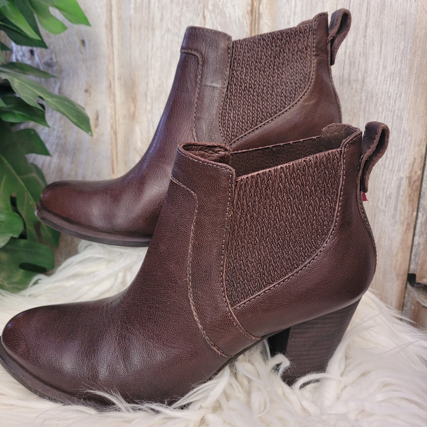 Ugg Cobie Ankle Boots