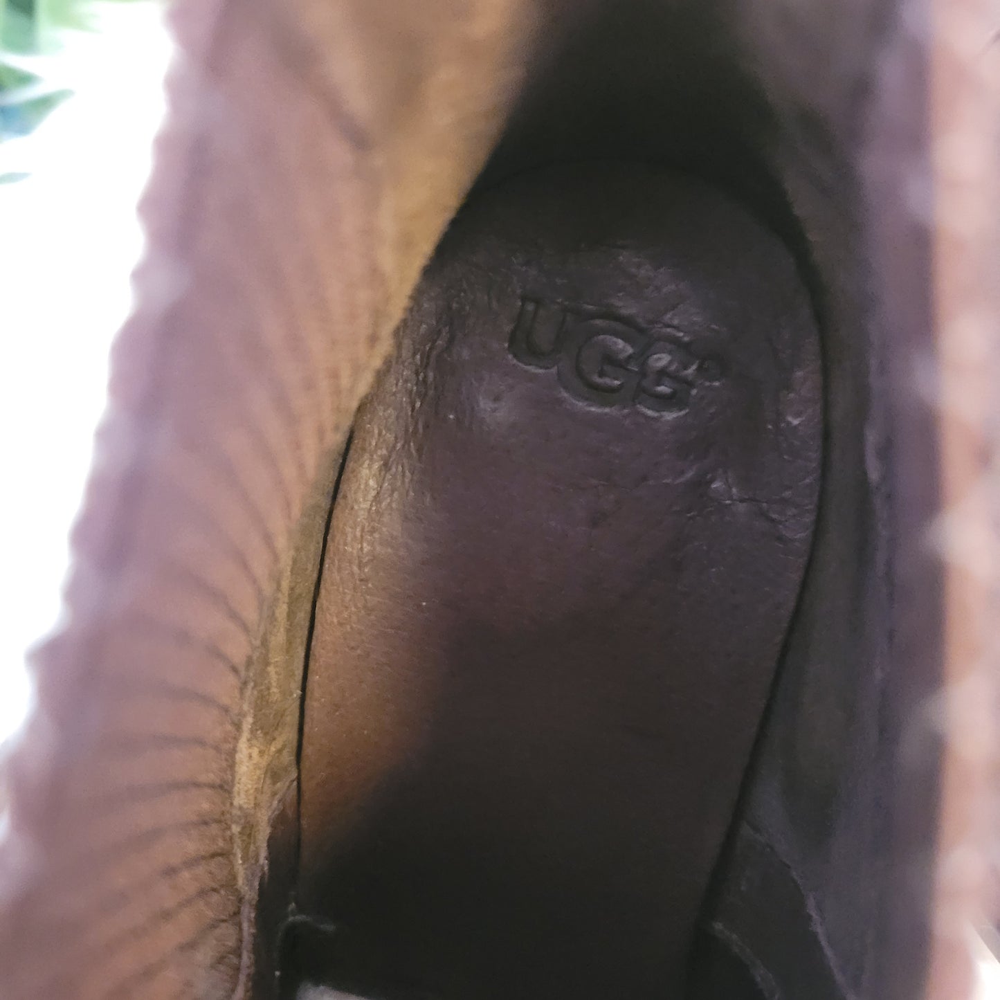 Ugg Cobie Ankle Boots