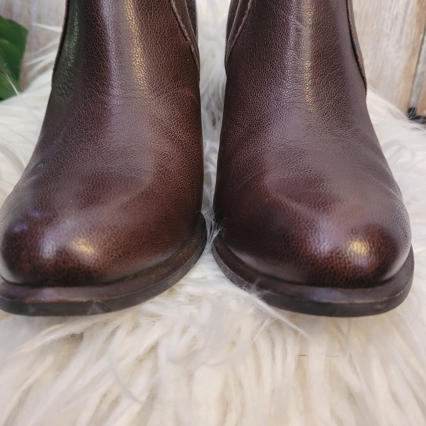 Ugg Cobie Ankle Boots